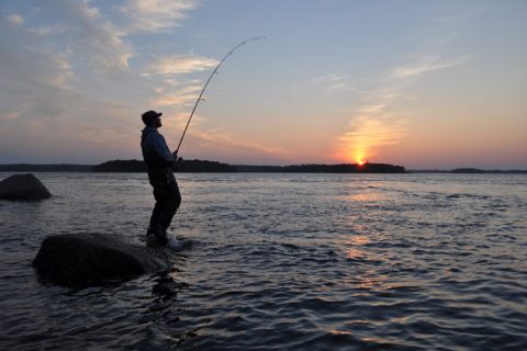 Four Top Spots for Fall Surfcasting in Massachusetts