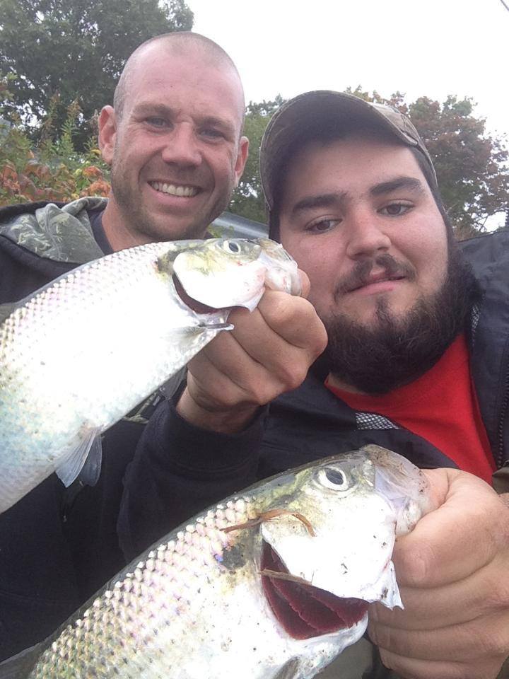 Trevor Berwick and Justin Giglio with two of dozens of shad they landed in the lower portion of the CT River.