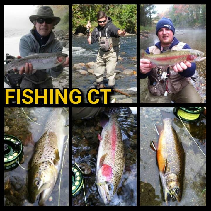 Pictured is a few of our contributers, Ron Merly, Tristan Wilgan and Michael Andrews with some beautiful trout.