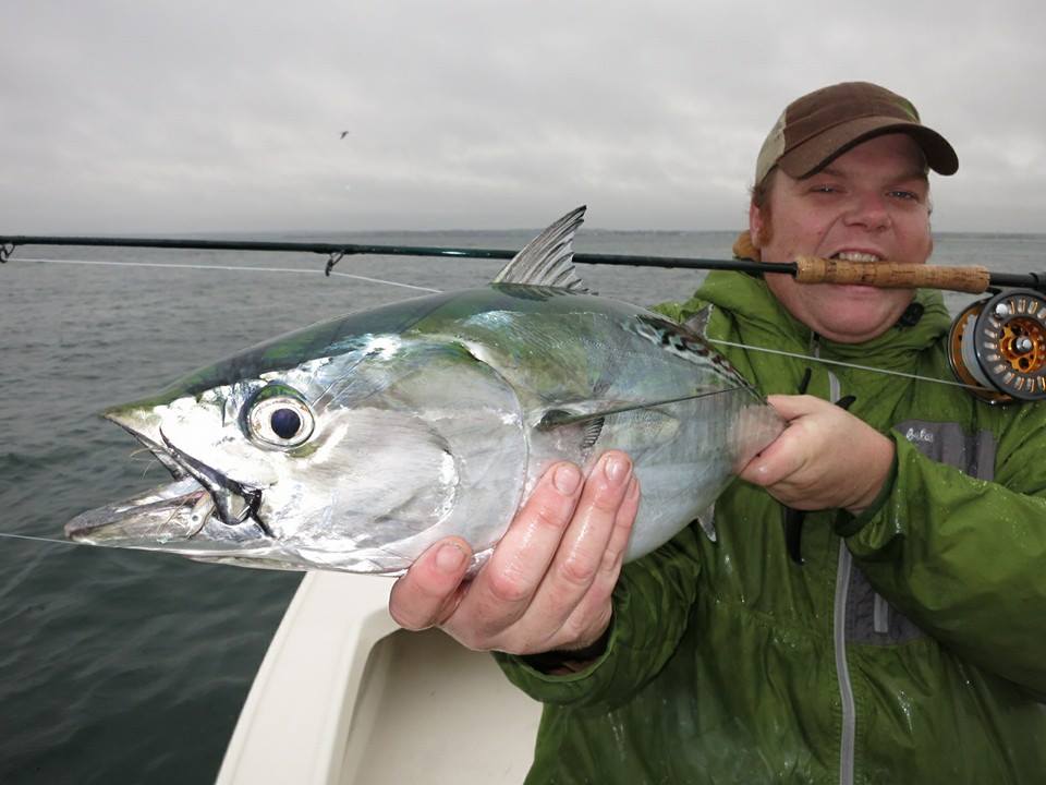 Tim Sheffield with an albie on the fly.
