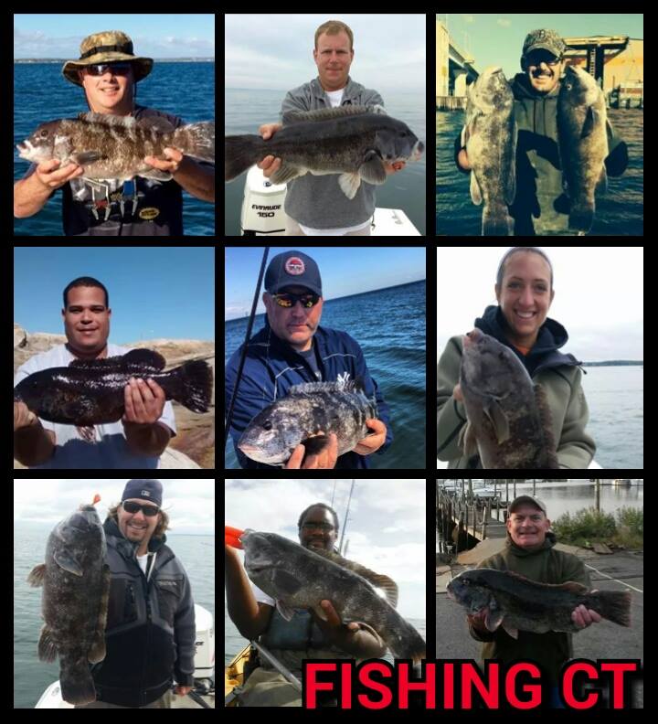 Pictured is a collection of some of the best Tog pics from the week!