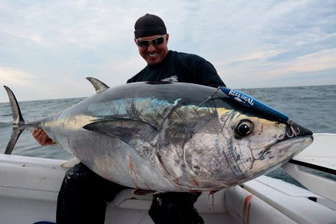 NOAA Fisheries Closes The 2018 Recreational Trophy Bluefin Tuna Fishery In The Northern Area