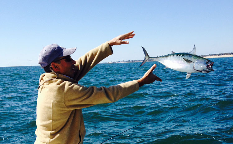Jack Oliveri from Watch Hill, RI with a nice albie release while fishing off Weekapaug Breachway during a two hour frenzy.