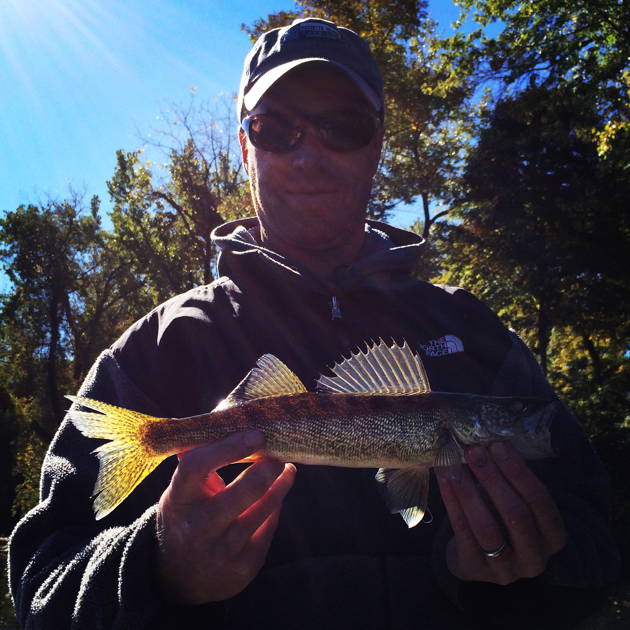 Matt McDonald caught this nice walleye while fishing on the Connecticut River last week.