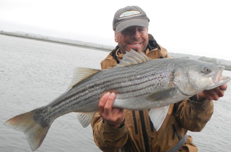 Eels in estuaries are an October best bet for a bass.