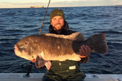 Potential New York State Record Blackfish