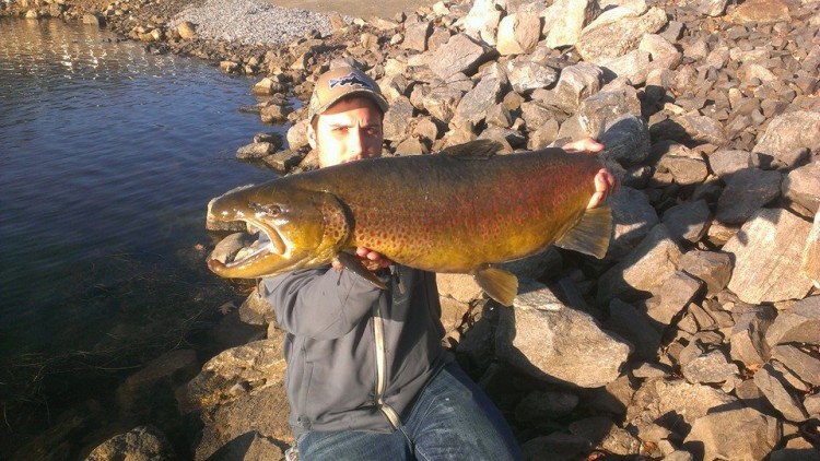 Christian Genarelli with a mean Seeforellen!