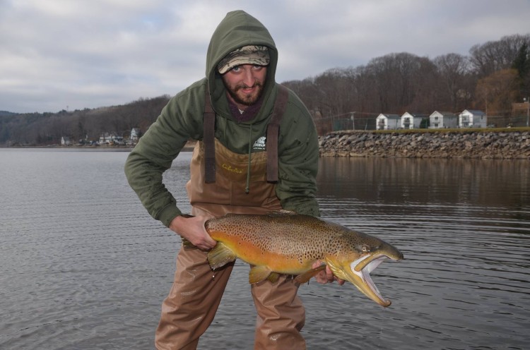 Connecticut stocks brown trout
