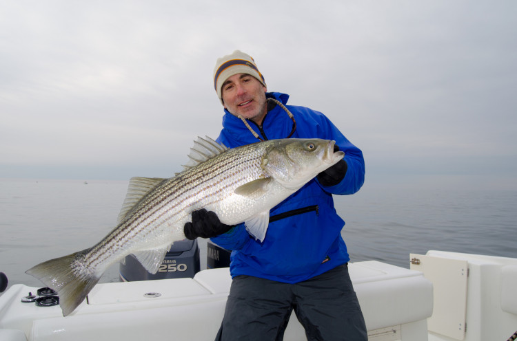 Mann's Stretch 30s accounted for all of the bass on the troll, including this 20-pounder caught by Craig Rogers. 