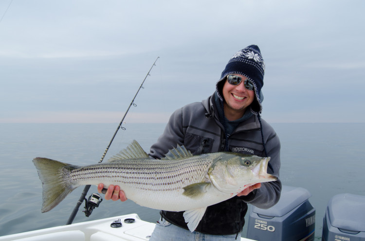 Huge schools of bunker have kept the stripers around South Jersey despite frigid conditions. 