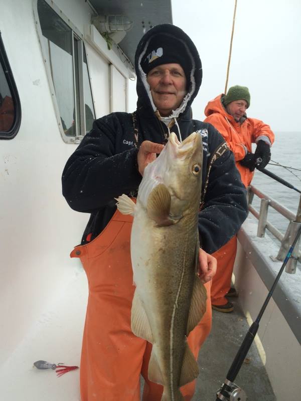 Nice cod like this one have been common aboard the Island Current recently.