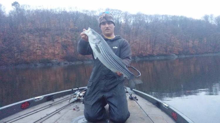 Connecticut Holdover Striped Bass