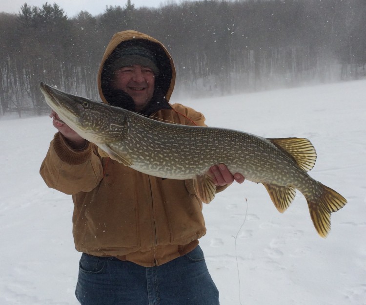John Vitale braved some nasty weather to ice this big pike in Western Massachusetts.