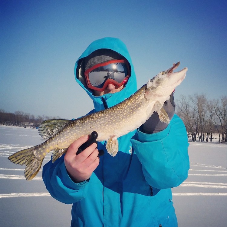 Dan MacIsaac landed this Connecticut River pike near Northampton.
