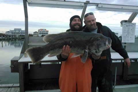 Kenneth Westerfeld reeled in a 28-pound world record tautog while fishing on a wreck out of Ocean City, Maryland.