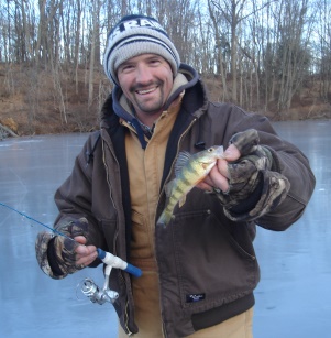 Yellow Perch on at Muddy Run Lake