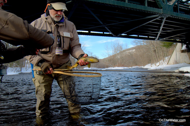 Farmington Winter Brown Trout