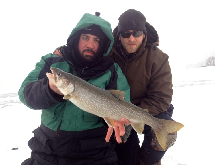 Lake trout among friends