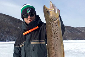 Jed Wilson brown trout from Squantz Pond