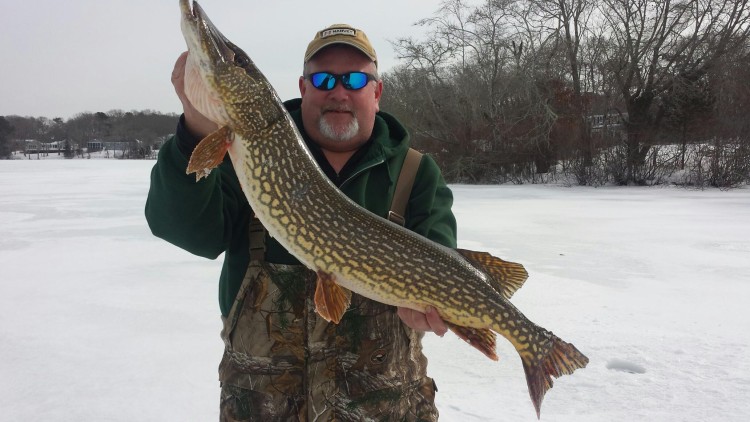 Mike Dumais of Northboro Mike Dumais