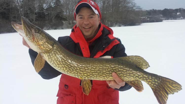 Monster Pike