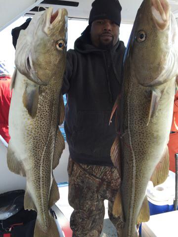 Last week, the Super Hawk out of Point Lookout got into some great cod fishing.