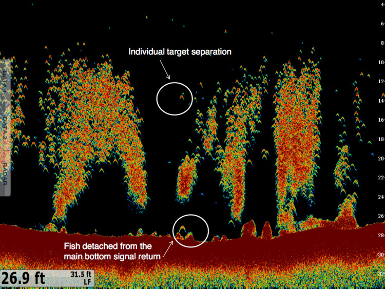 Airmar CHIRP Screen Display