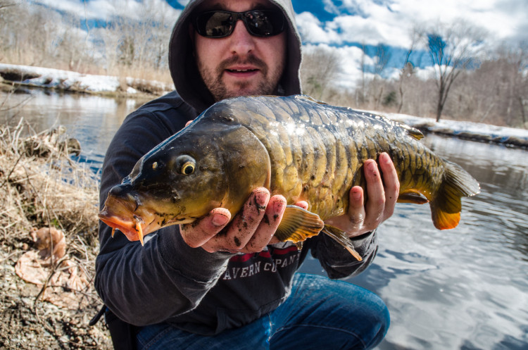 ryan-mirror-carp