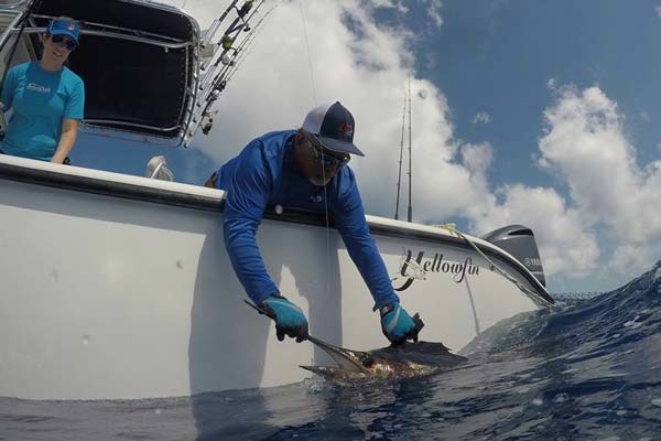 Cuda Offshore gloves