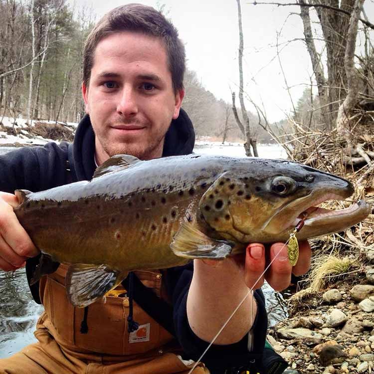Farmington River brown trout