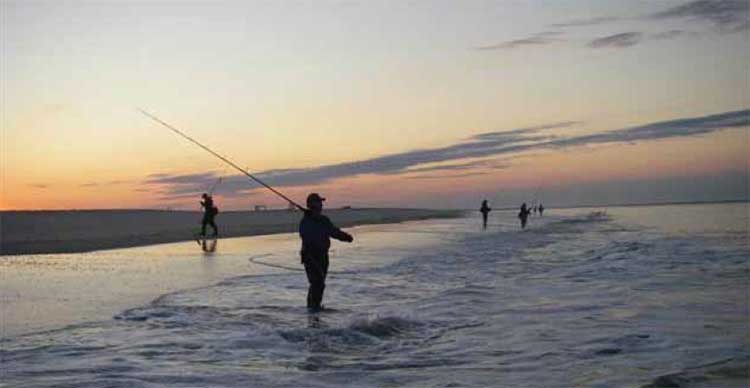 High Hill Striper Club