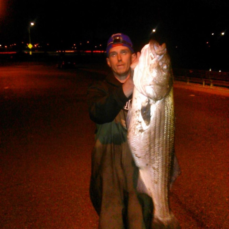Michael Hanlon caught this 20-pound striper in Western Long Island Sound on Wednesday night. 