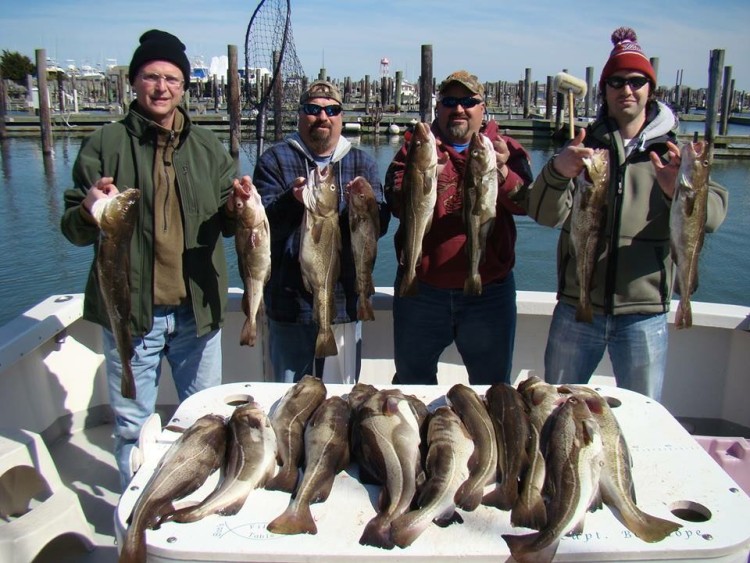 Cod fishing continues to be excellent, all the way down to South Jersey. Captain Bob Cope of Full Ahead charters got in on a killer cod bite this week.