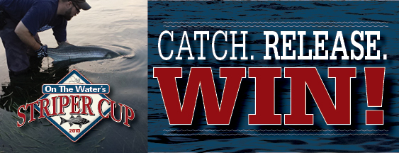Striper Cup Catch Release Eblast Ad