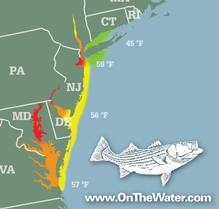 Striper Migration Map
