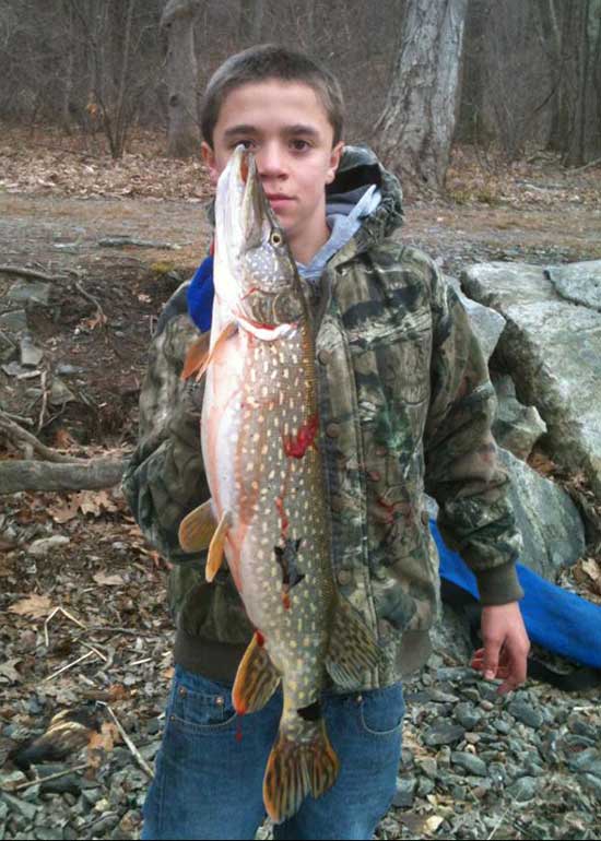 Nicolas Spada found out firsthand that the Connecticut River pike bite is going strong.