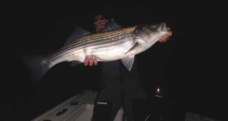 Schoolie fever is starting to take over in RI.