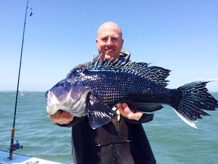 Chris Silva had a great start to his black sea bass  season with this 24-inch, 6-pound Buzzards Bay humphead. 