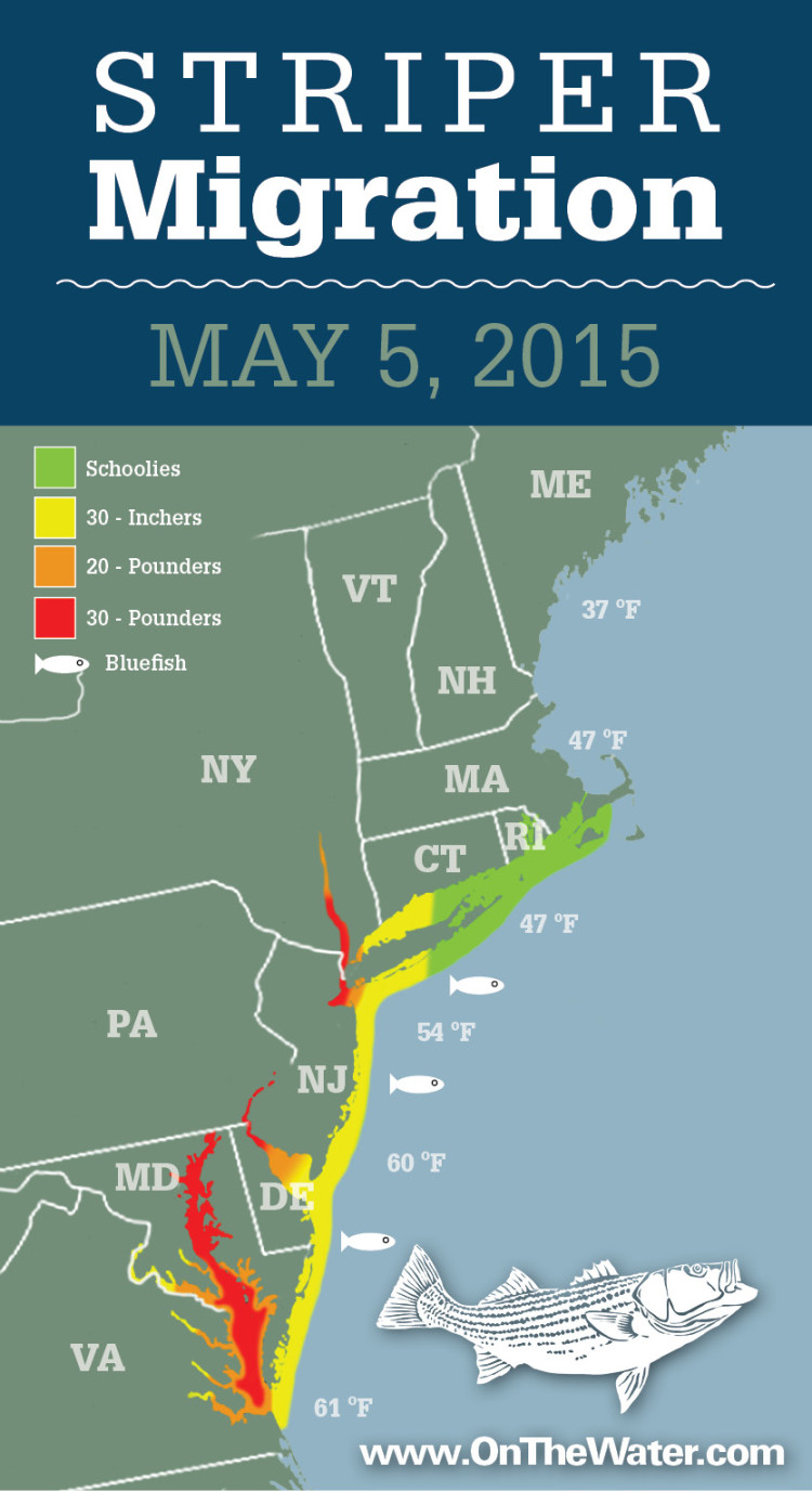 Striper Migration Map 2015-05-05