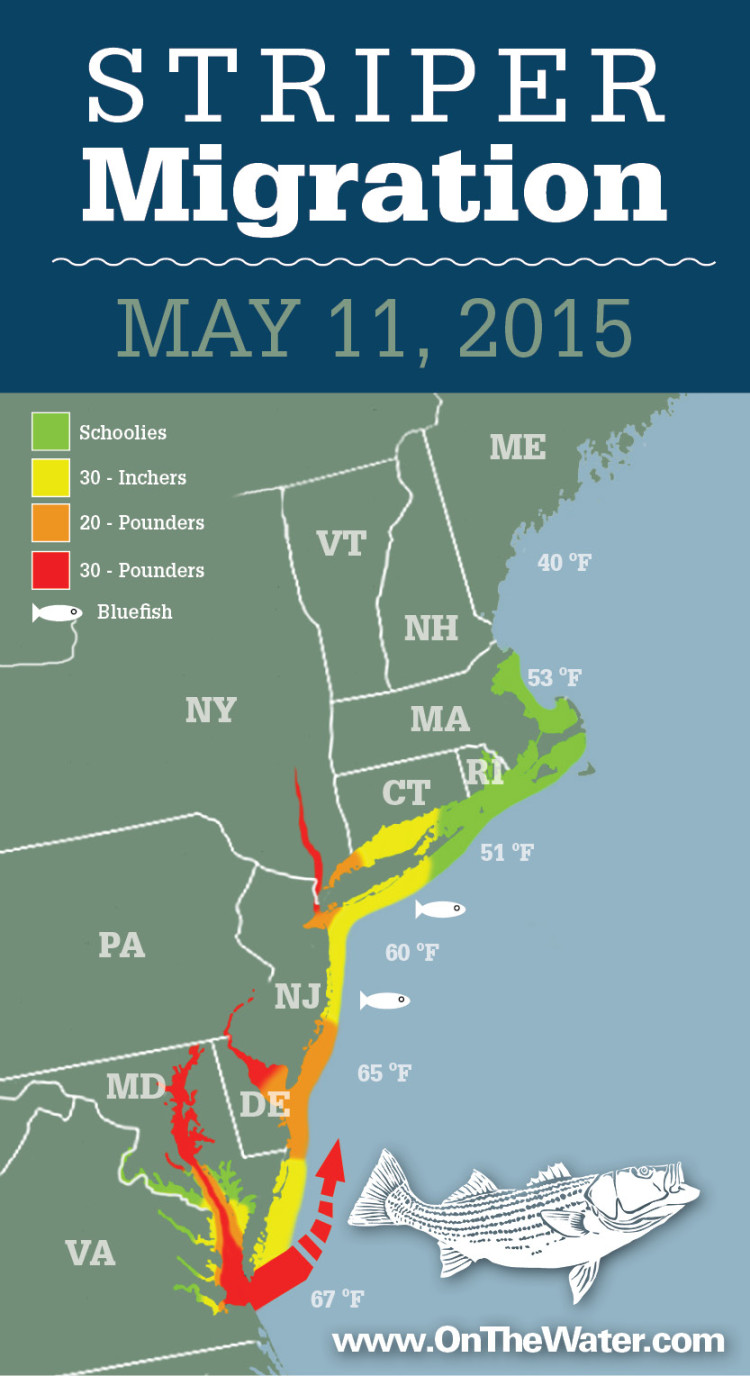 Striper Migration Map
