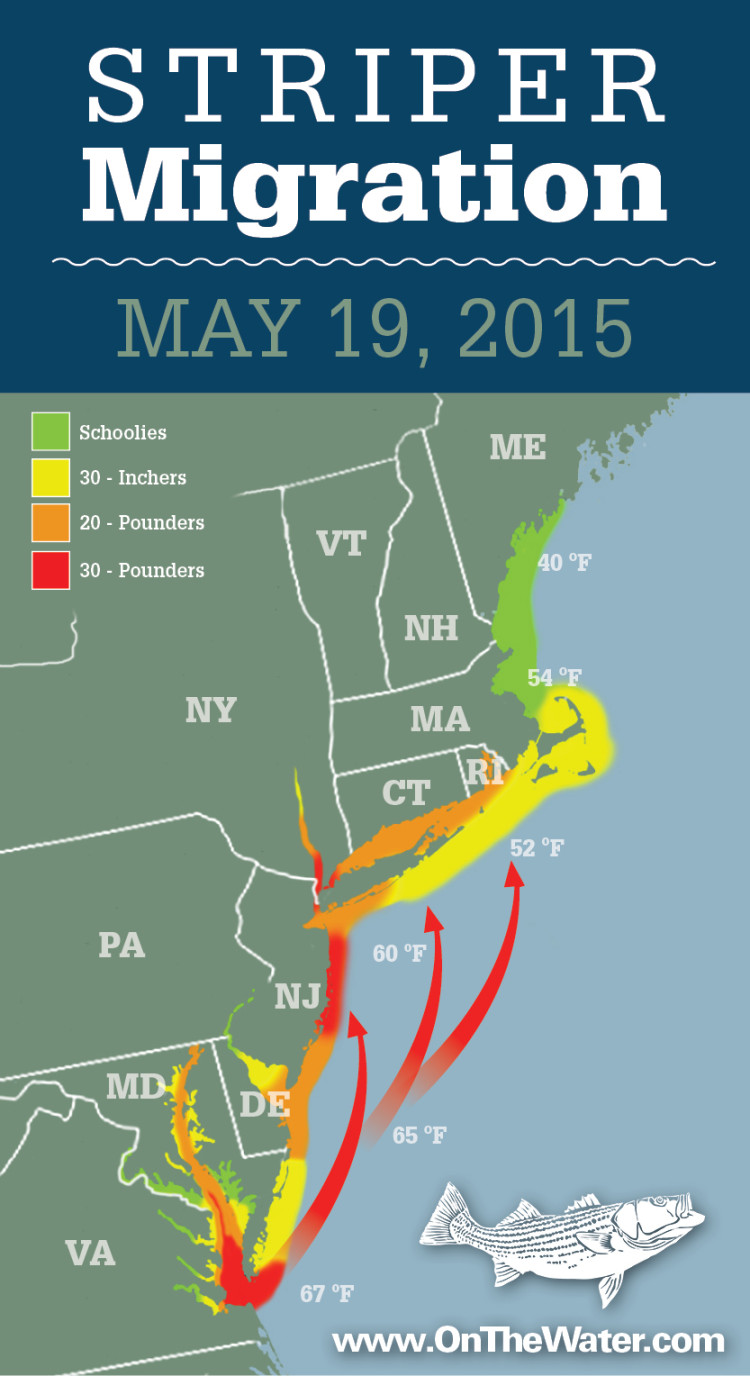 Striper Migration Map