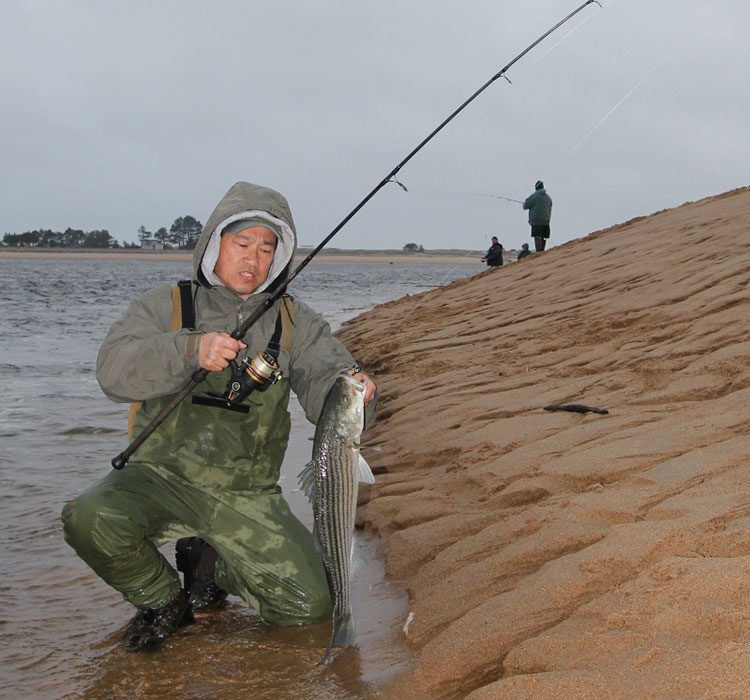 Fung Chin from Wakefield found the mid-week striper action hot at Plum Island.