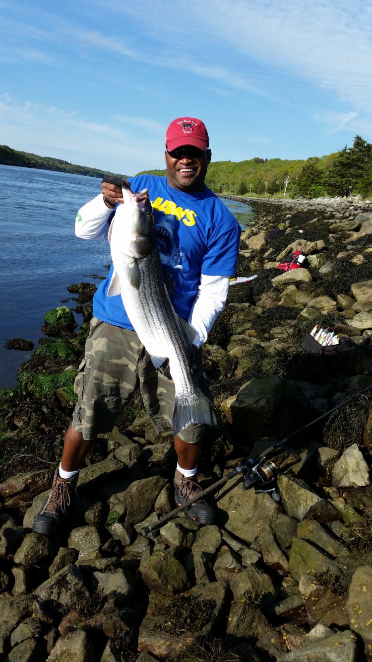 Alberto PIna with a 37-inch striper caught at the Cape Cod Canal this week. 