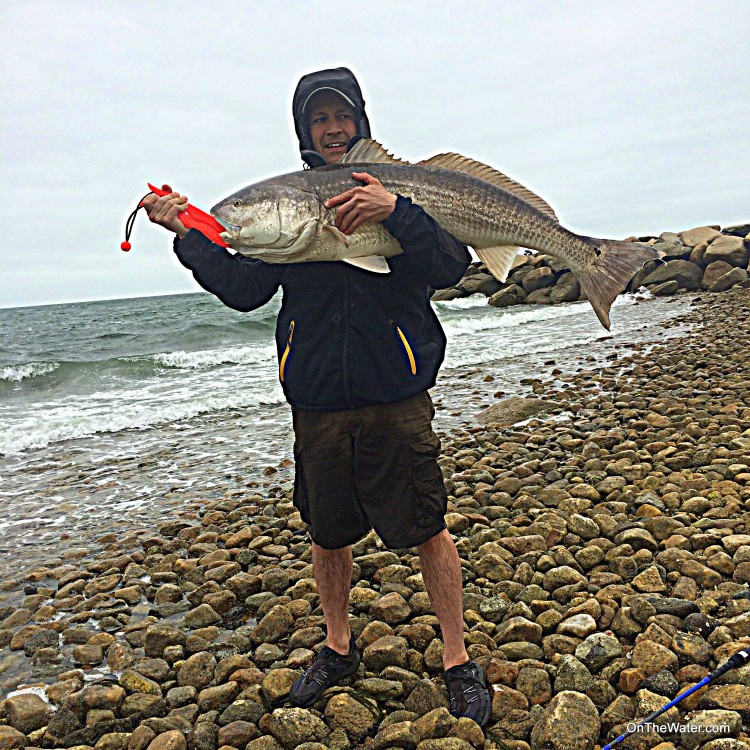 Cape Cod Red Drum