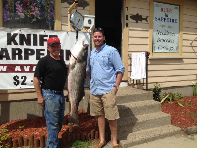 Keith and Wade Colli with the 51-pound striper caught from Boston Harbor on Father's Day. 