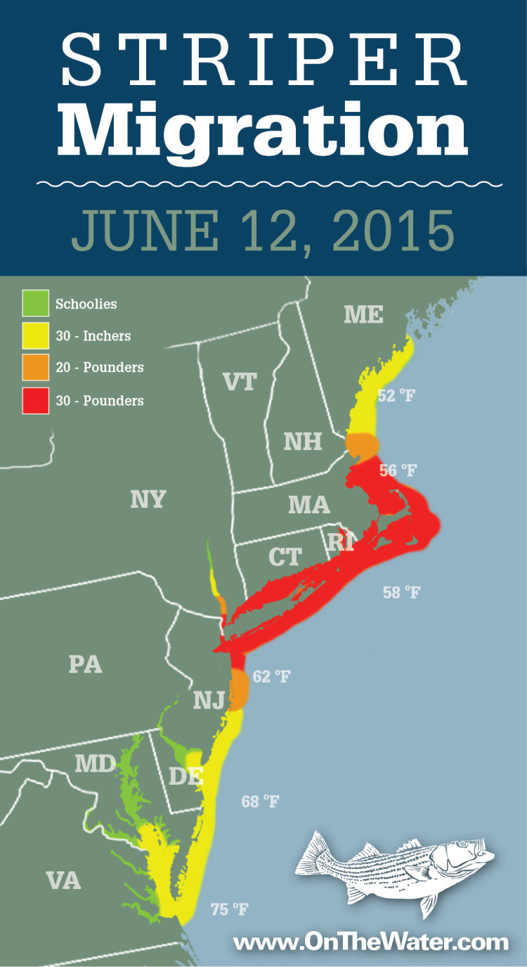 Striper Migration Map