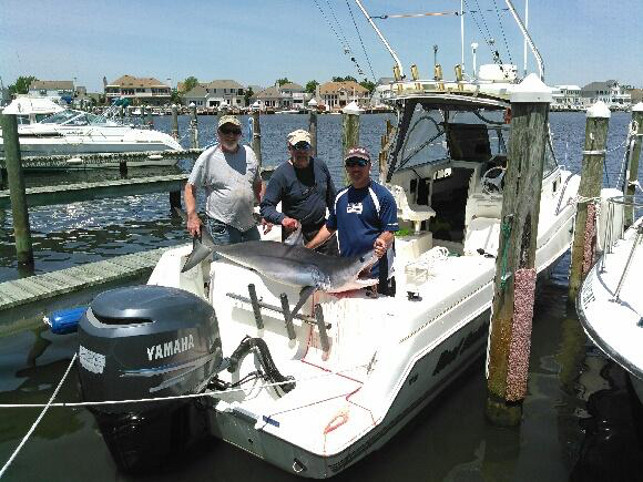 Shark fishing is going strong. Kyle Wright caught this fine mako shark this week.