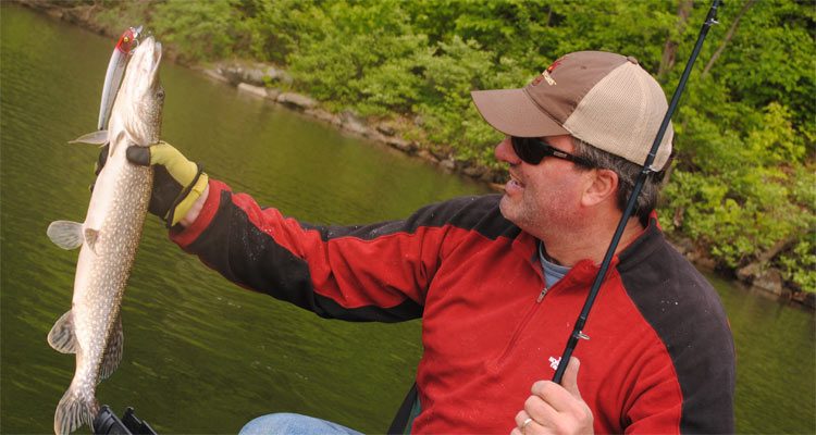 A testament to the northern pike's ferocity, this Bomber Long A is almost a third of the length of the fish that tried to swallow it!