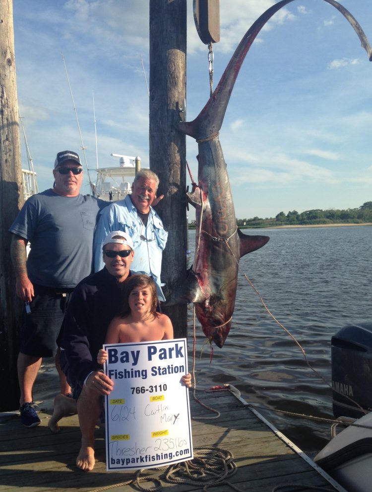 Kieran Pyle & Mike Silverman of the Caitlin Mary fished 20 miles South of Jones Inlet in about 100 ft of water & landed a 235lb Thresher using Bay Park Trolling Squid & bluefish fillets.
