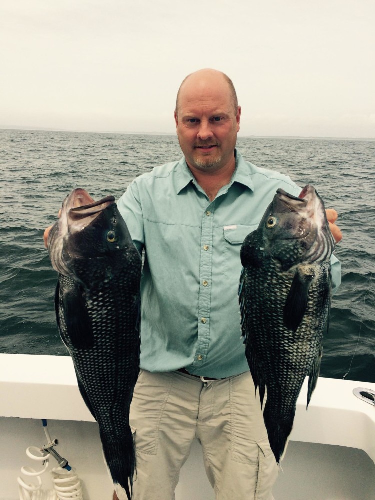 Jay Hanson caught this huge black sea bass off Montauk this week.